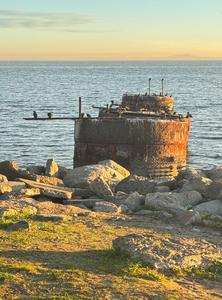 Muelle Hinrichsen